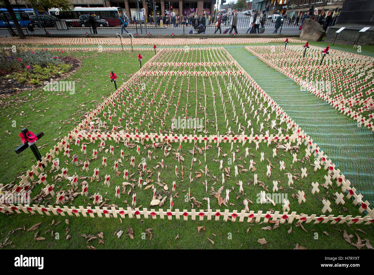 Edinburgh, Regno Unito. 8 Novembre, 2016. Il papavero Scozia - Campo della Rimembranza fotografie di Scotlands Campo o ricordo si trova presso il monumento di Scott entro Princes Gardens nel centro di Edimburgo. La manifestazione è organizzata dalla Scozia di papavero dal pubblico piantare piccole croci di legno come un omaggio ai caduti in tutti i conflitti militari. Credito: Phil Hutchinson/Alamy Live News Foto Stock