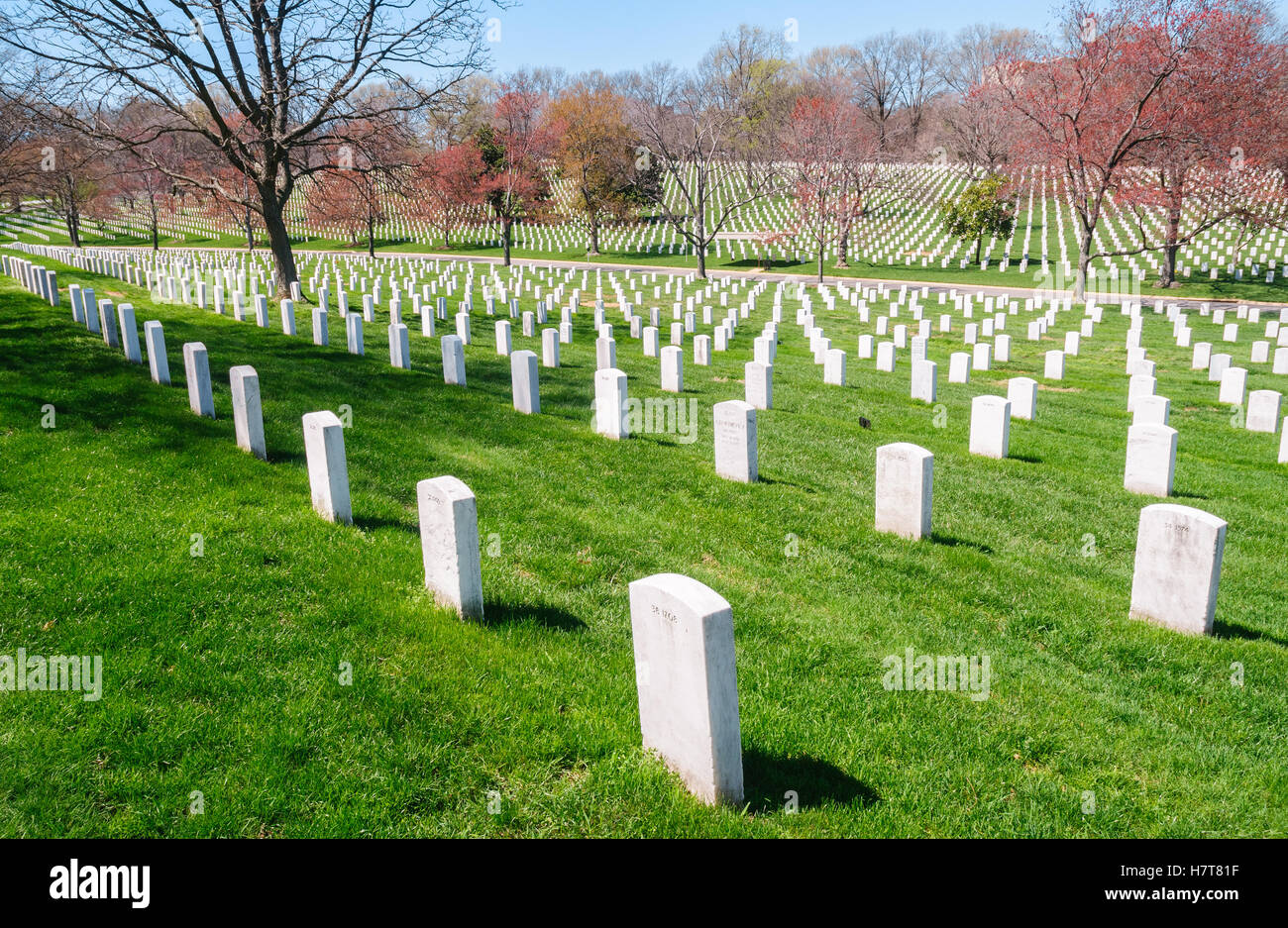 Al Cimitero Nazionale di Arlington, Foto Stock
