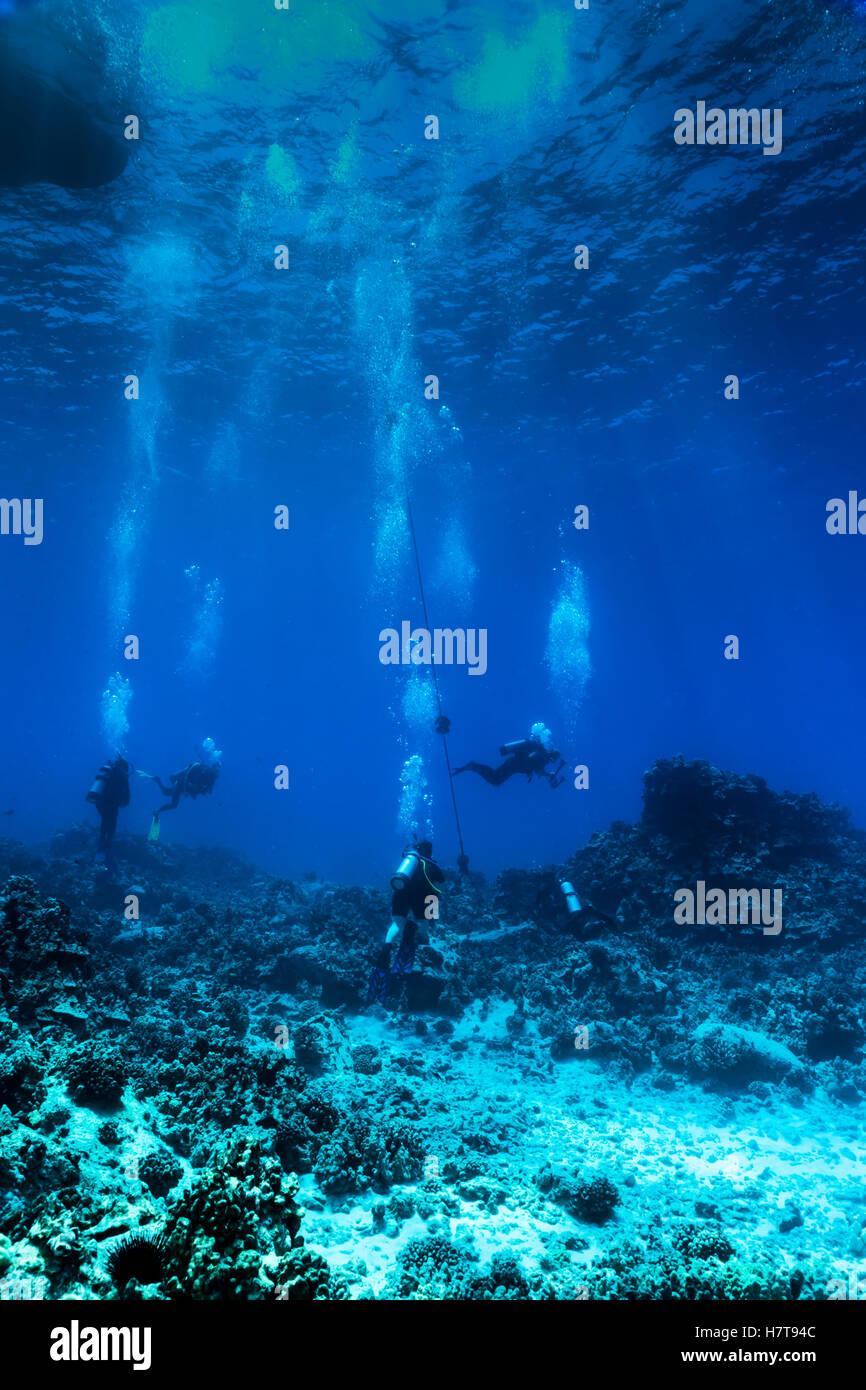 Un gruppo di subacquei dal grande isola Divers appeso accanto a un ormeggio permanente presso il Golden Arches sito di immersione fuori della costa di Kona Foto Stock