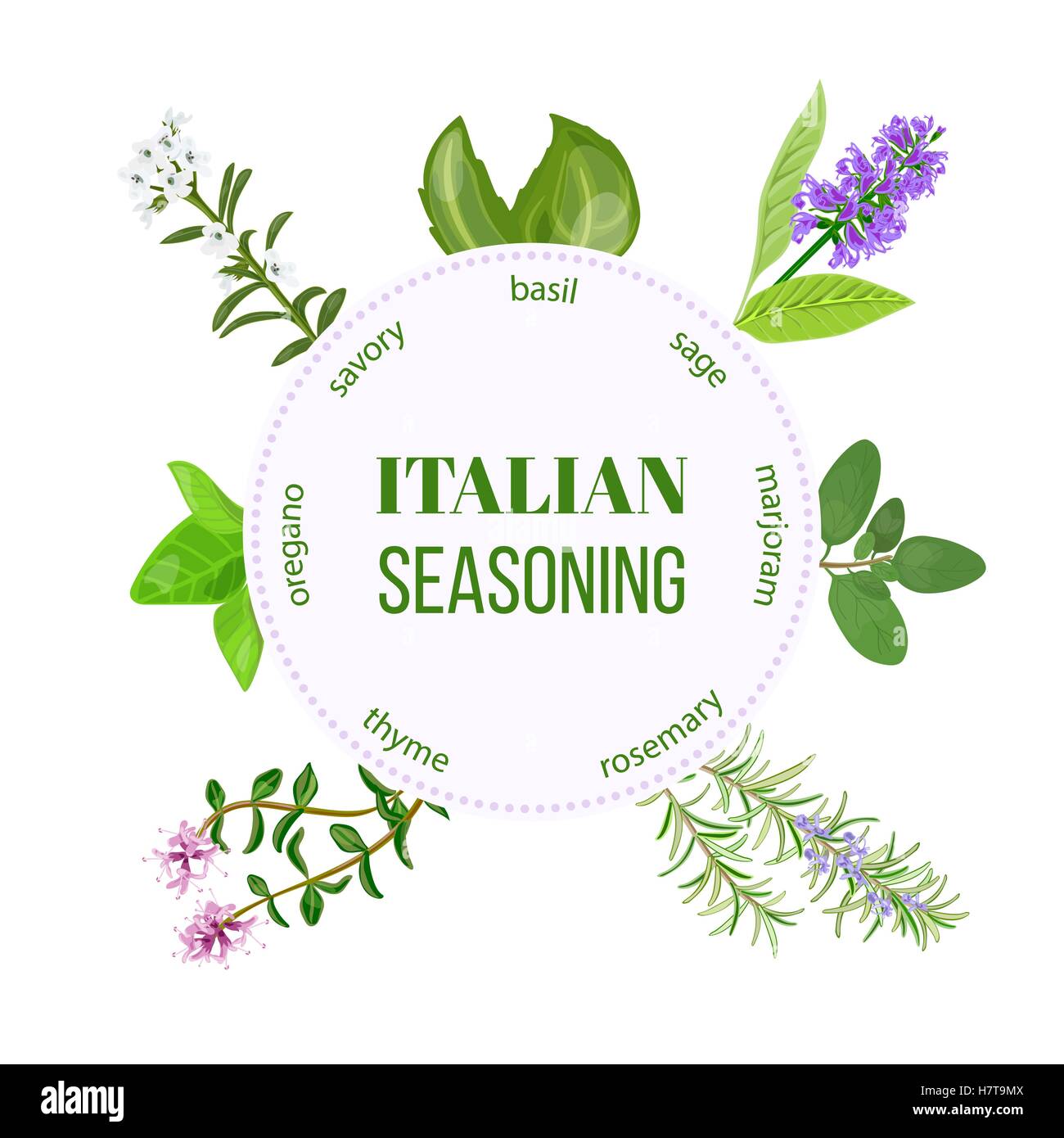 Italiano stagionatura tradizionale mix di spezie. Stemma rotondo con il tipo di progettazione per cosmetici, ristorante, negozio, mercato la salute naturale Illustrazione Vettoriale