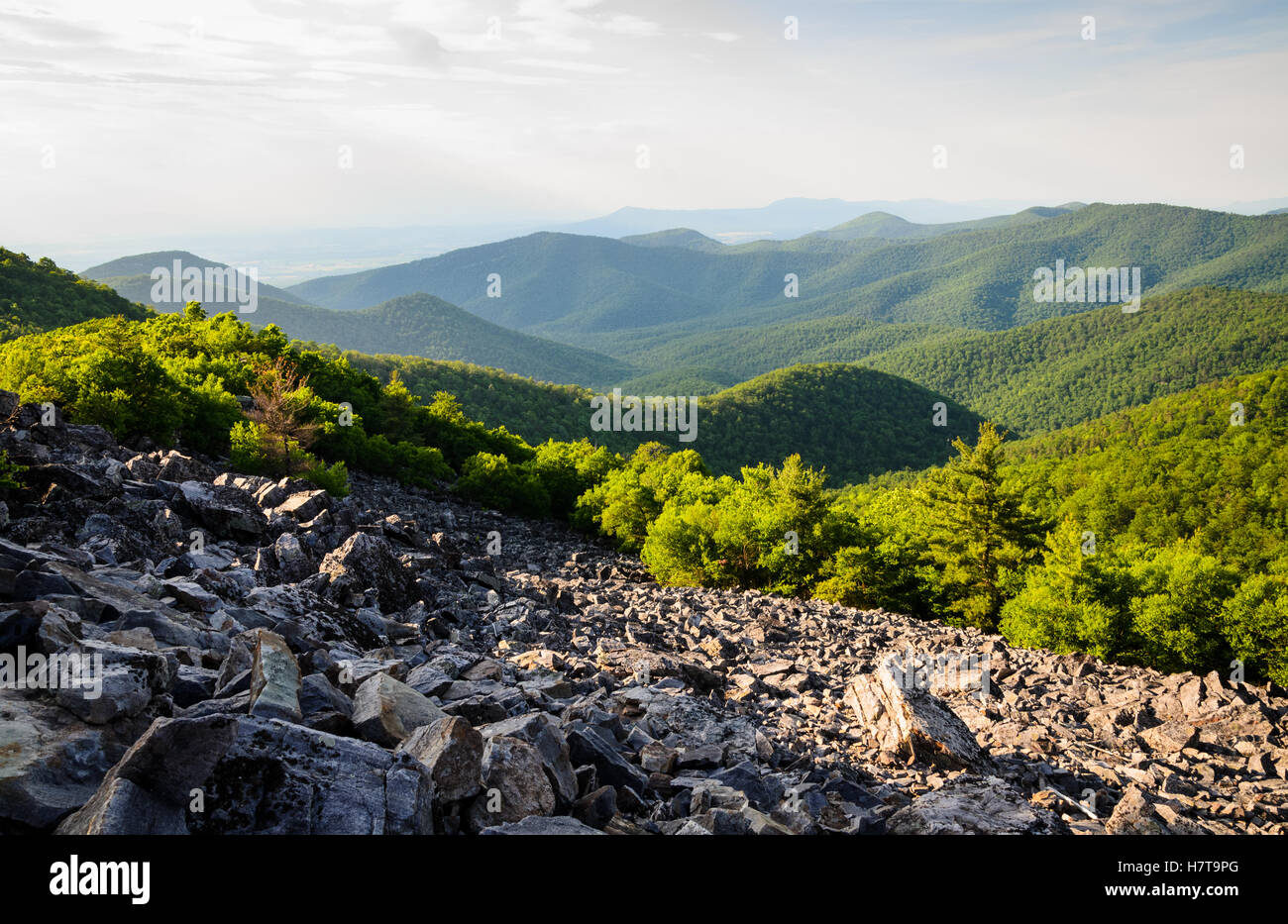 Parco Nazionale di Shenandoah Foto Stock