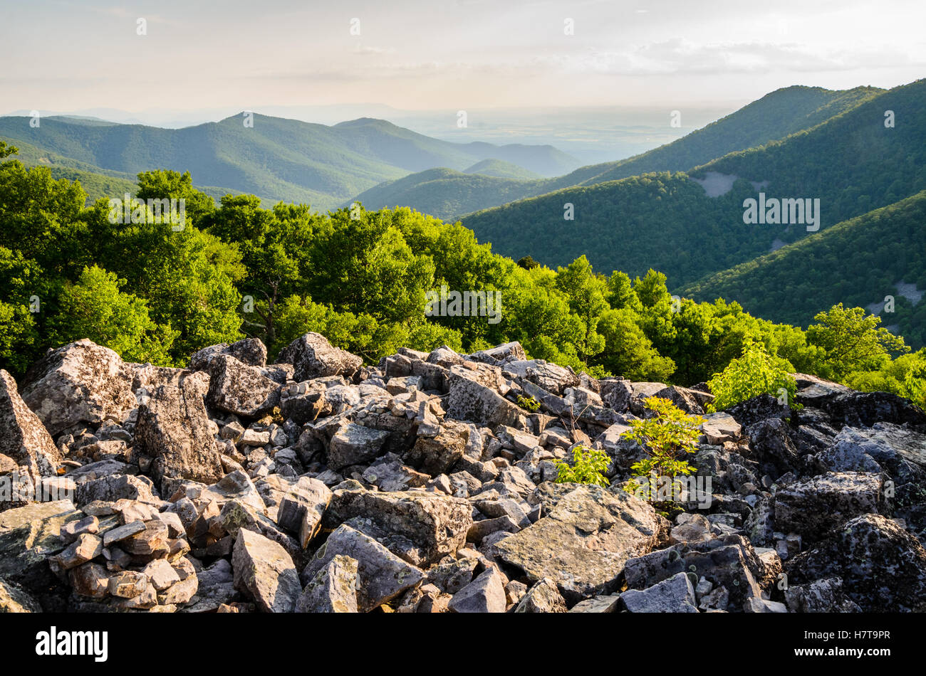 Parco Nazionale di Shenandoah Foto Stock