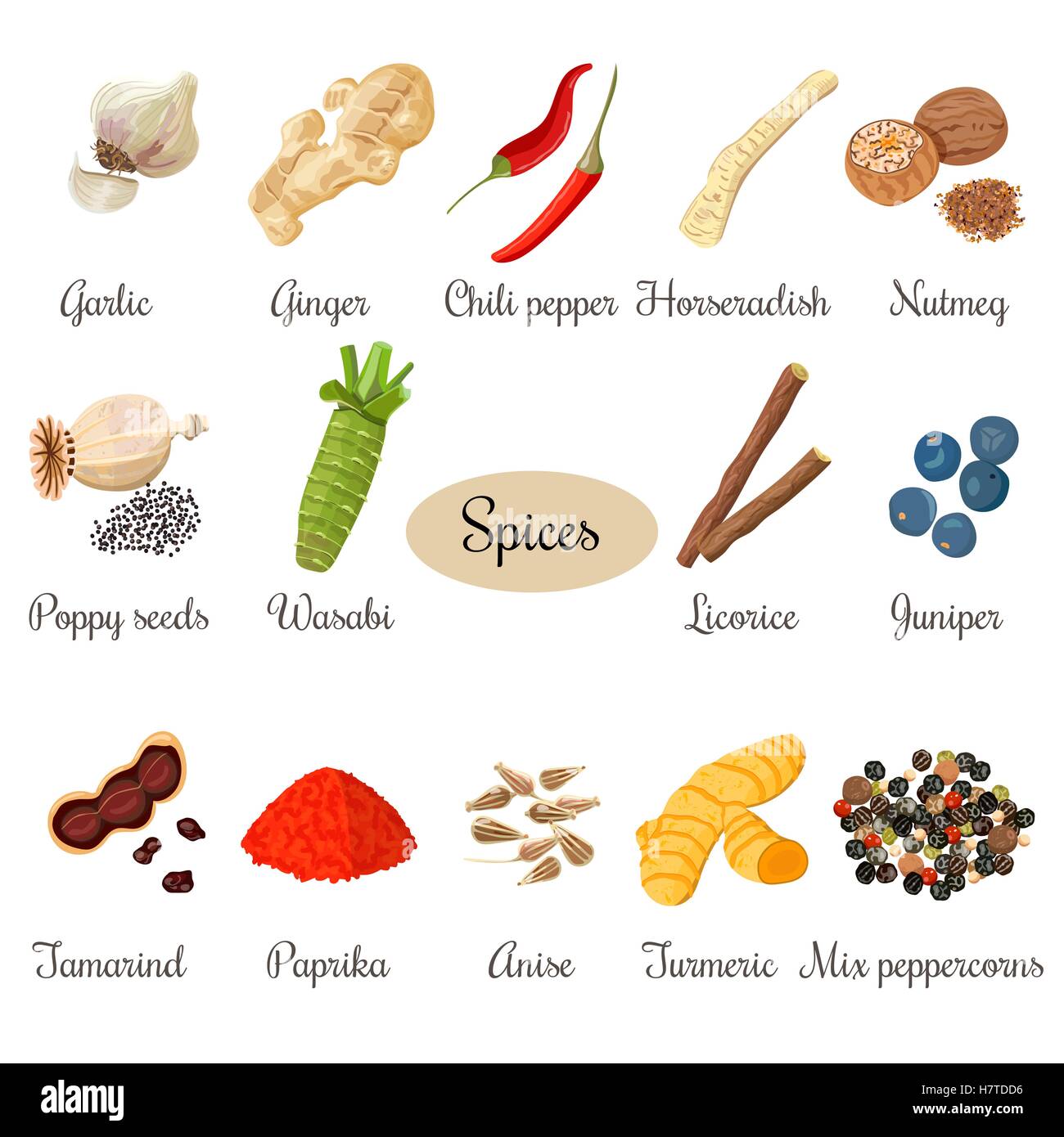 Icona grande set di culinaria popolare spezie Illustrazione Vettoriale