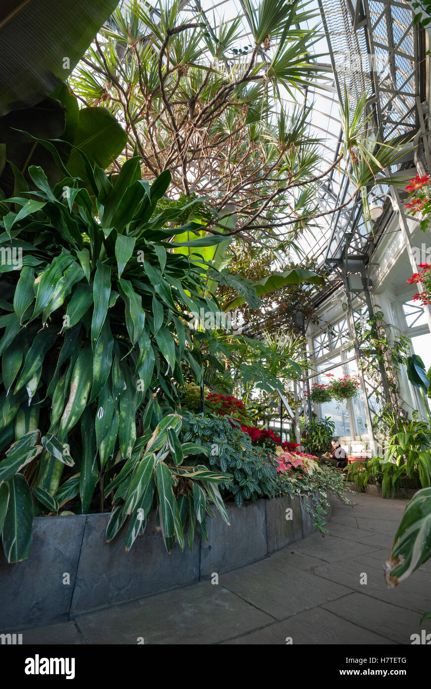 L'ingresso alla Casa delle Palme ad Allan giardini pubblici di una serra e serra tropicale in Toronto Ontario Canada Foto Stock