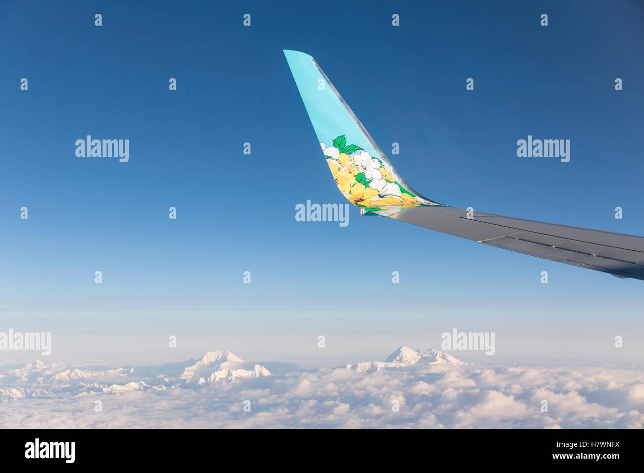 Un dipinto floreale aereo wingtip vola sopra Cime coperte di neve, l'ancoraggio centromeridionale Alaska, Stati Uniti d'america, estate Foto Stock