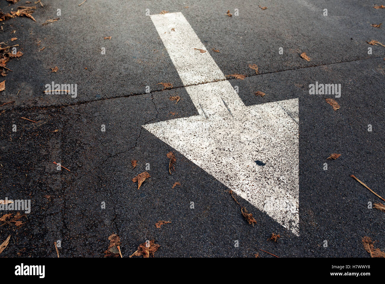 Freccia bianca sulla strada asfaltata, segno di traffico marcatura sulla carreggiata con foglie di autunno Foto Stock