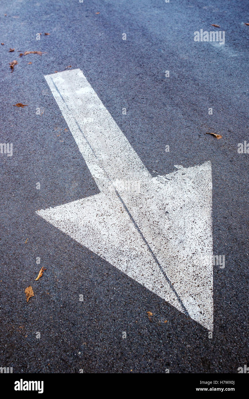 Freccia bianca sulla strada asfaltata, segno di traffico marcatura sulla carreggiata con foglie di autunno Foto Stock