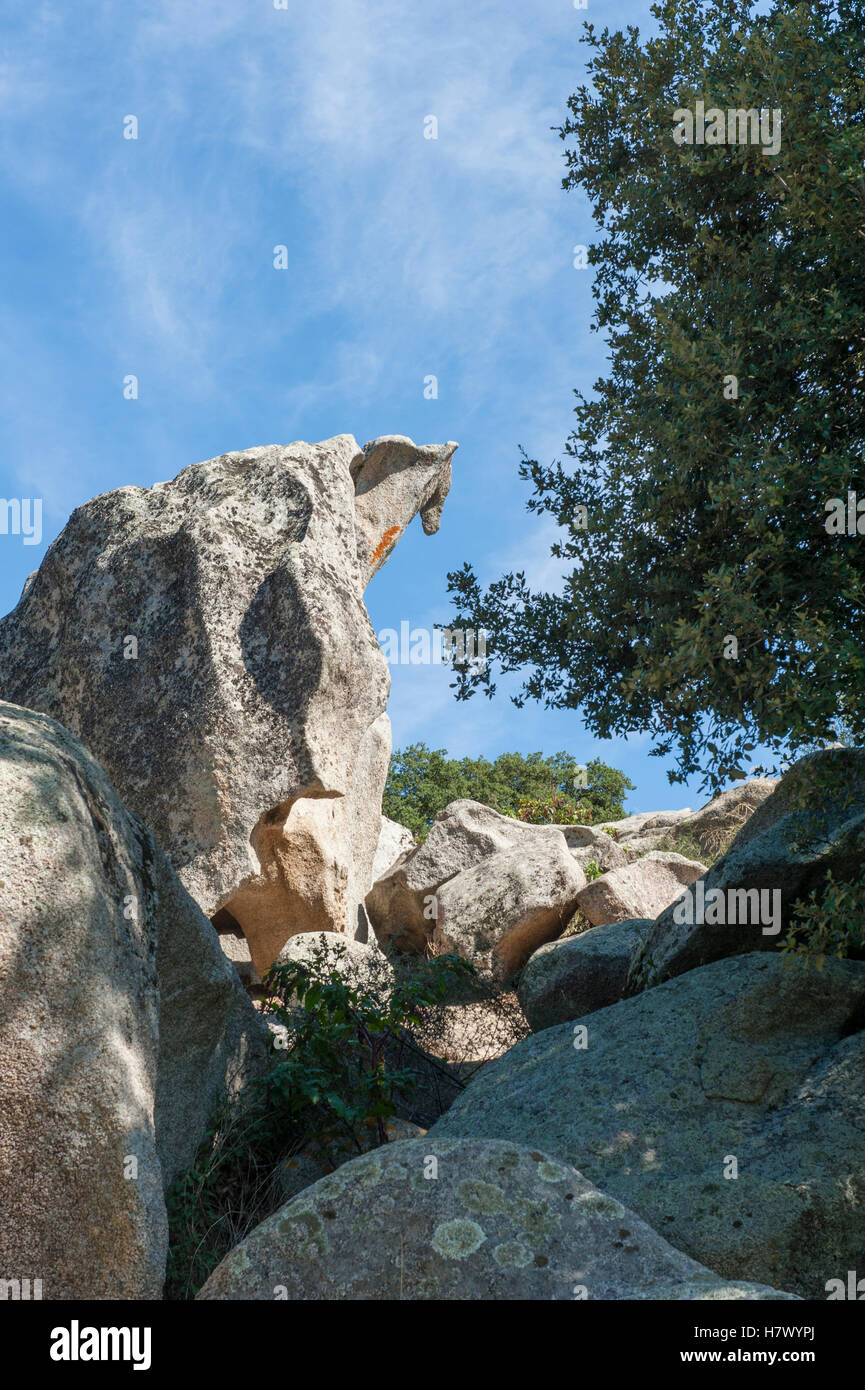 Dinosauro tafoni a Filitosa, preistoria capitale della Corsica, dotate di dolmen e menhir, e relitti Torrean Francia Foto Stock