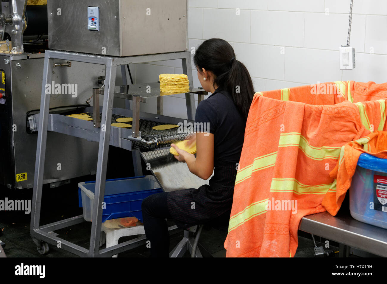 Giovane donna messicana di impilamento tortilla di mais in uscita di una tortilla rendendo la macchina Foto Stock