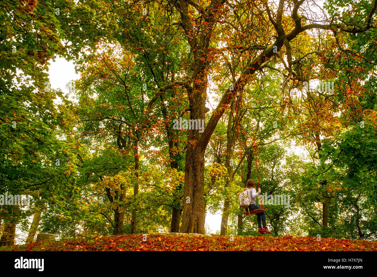 I colori autunnali e una ragazza seduta su un altalena Ljubljana, Slovenia Foto Stock