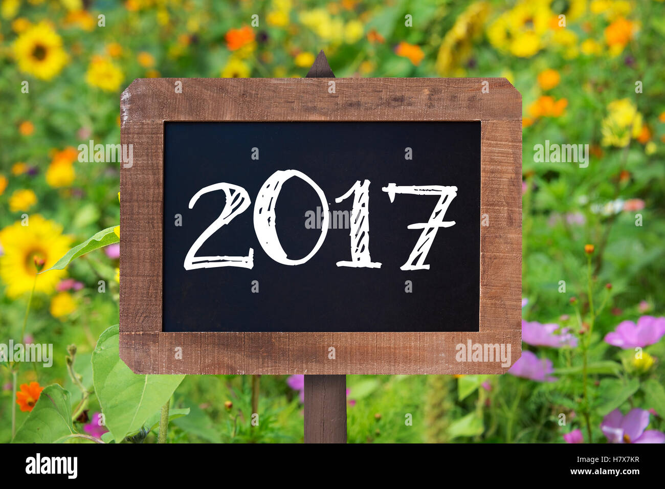 2017 scritto su di un cartello in legno, girasoli e fiori selvatici in background Foto Stock