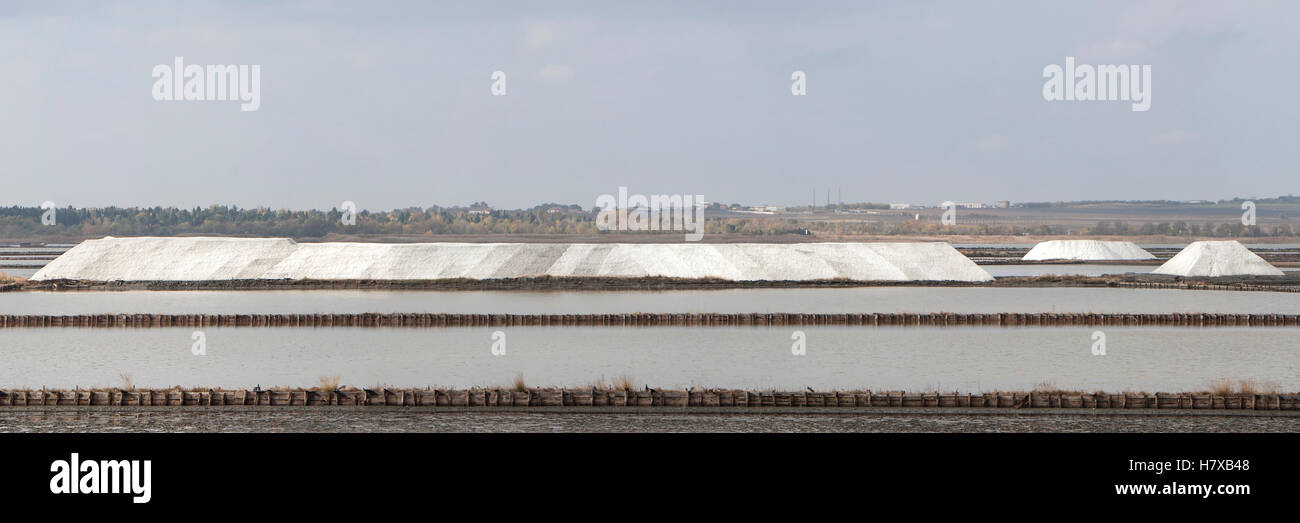 Campo di mare salines per estrazione del sale marino con lunghi pali di sale. Foto Stock