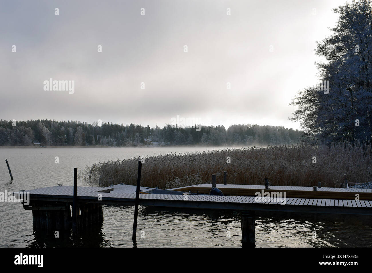 Prima neve sul molo. Frosty ance e mare con nebbia di ghiaccio su sfondo. Foto Stock