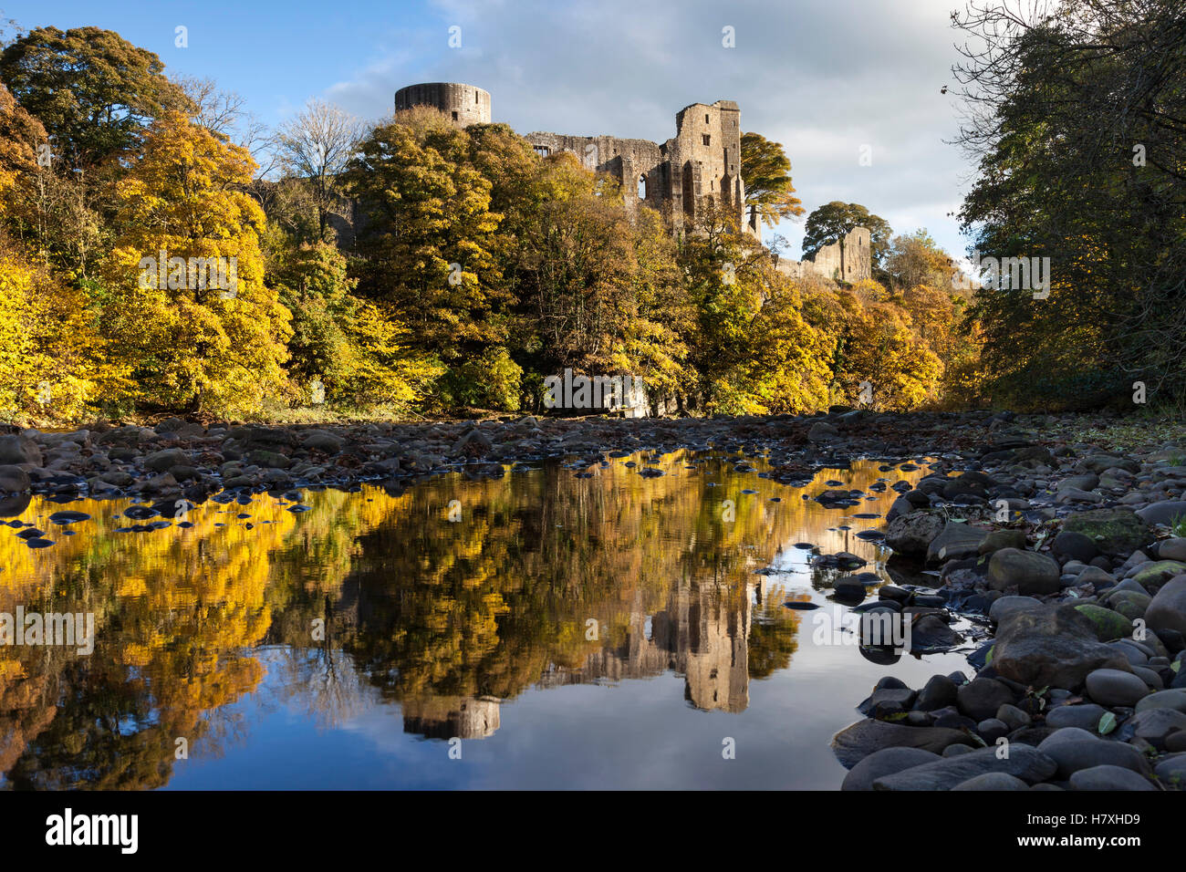 Le rovine medievali di Barnard Castle riflessa nel Fiume Tees in autunno, Barnard Castle, Teesdale, County Durham, Regno Unito Foto Stock