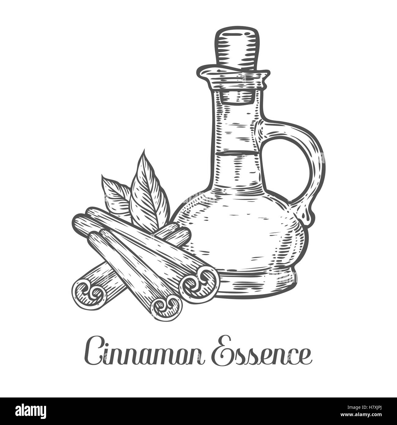 Essenza di cannella della bottiglia dell'olio di vettore di sementi. Isolato su sfondo bianco. La cannella ingrediente alimentare. Incisi disegnati a mano illustratio Illustrazione Vettoriale