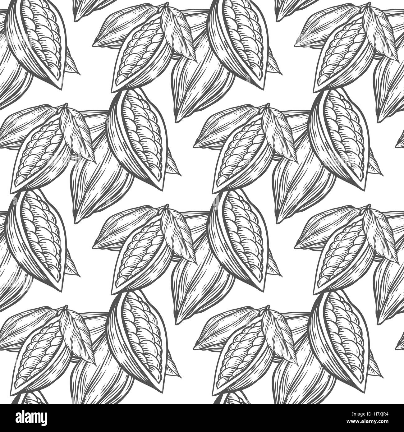 Cacao, chicchi di cacao mano bozzetto seamless disegno vettoriale. Per i modelli, web design, inviti, banner. Sfondo bianco Illustrazione Vettoriale