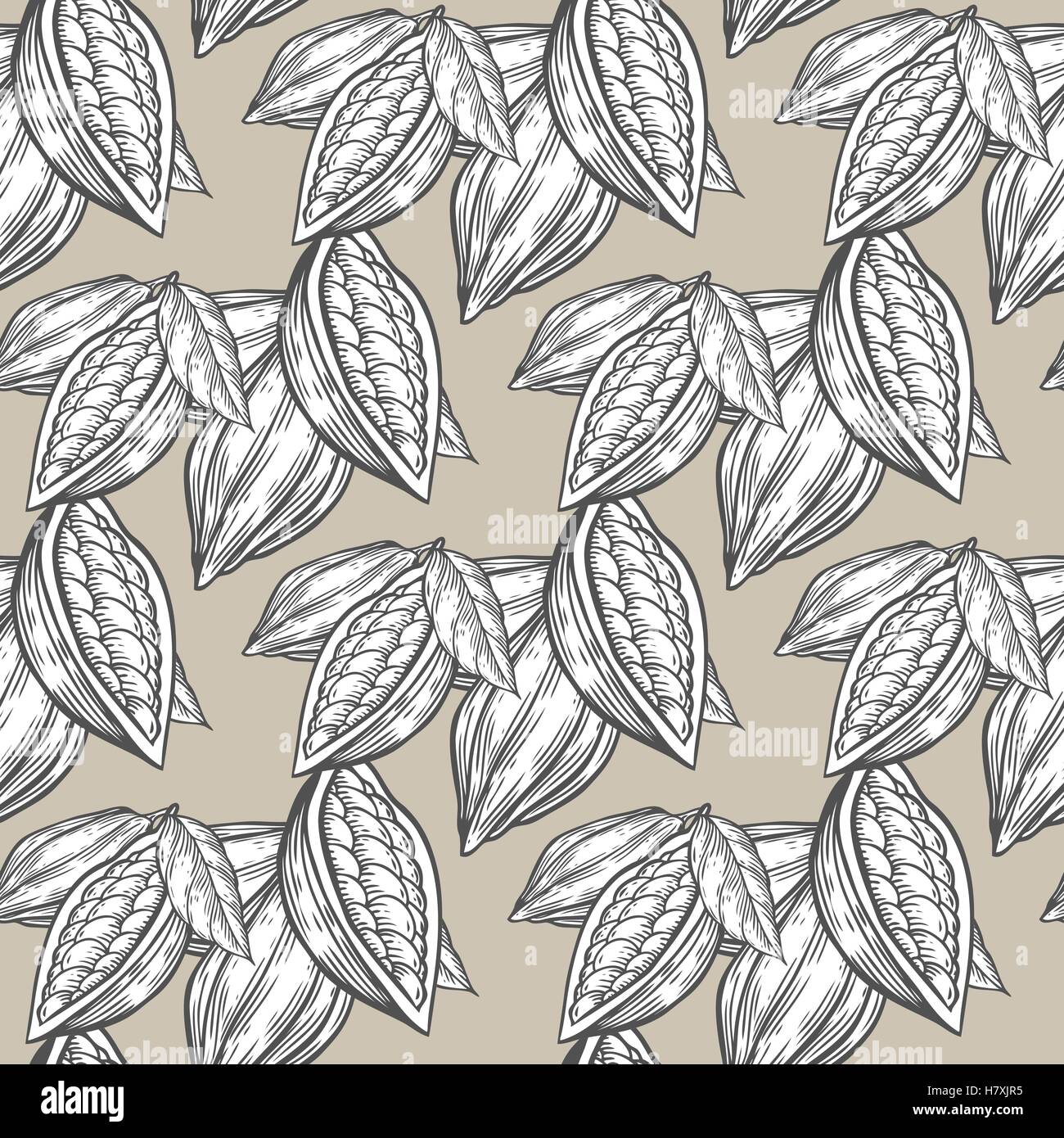 Cacao, chicchi di cacao mano bozzetto seamless disegno vettoriale. Per i modelli, web design, inviti, banner. Sfondo beige Illustrazione Vettoriale