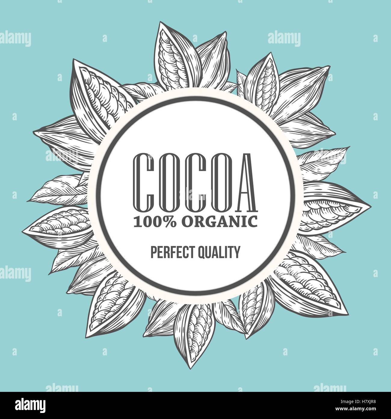 Cacao cacao mano disegnato a mano corona botanica illustrazione vettoriale. Cacao doodle decorativo di sano cibo nutriente. Il cacao engravin Illustrazione Vettoriale