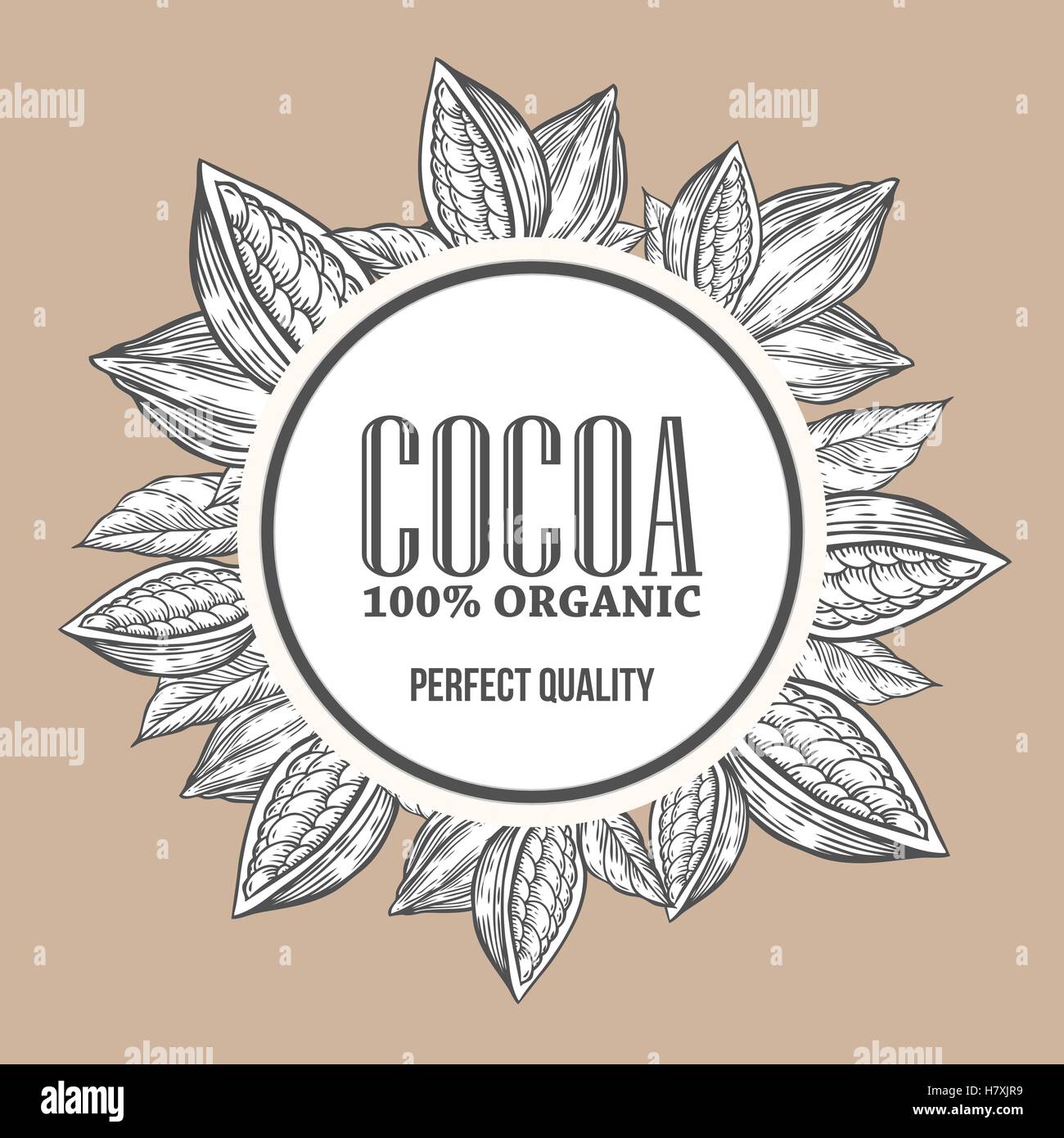 Cacao cacao mano disegnato a mano corona botanica illustrazione vettoriale. Cacao doodle decorativo di sano cibo nutriente. Il cacao engravin Illustrazione Vettoriale