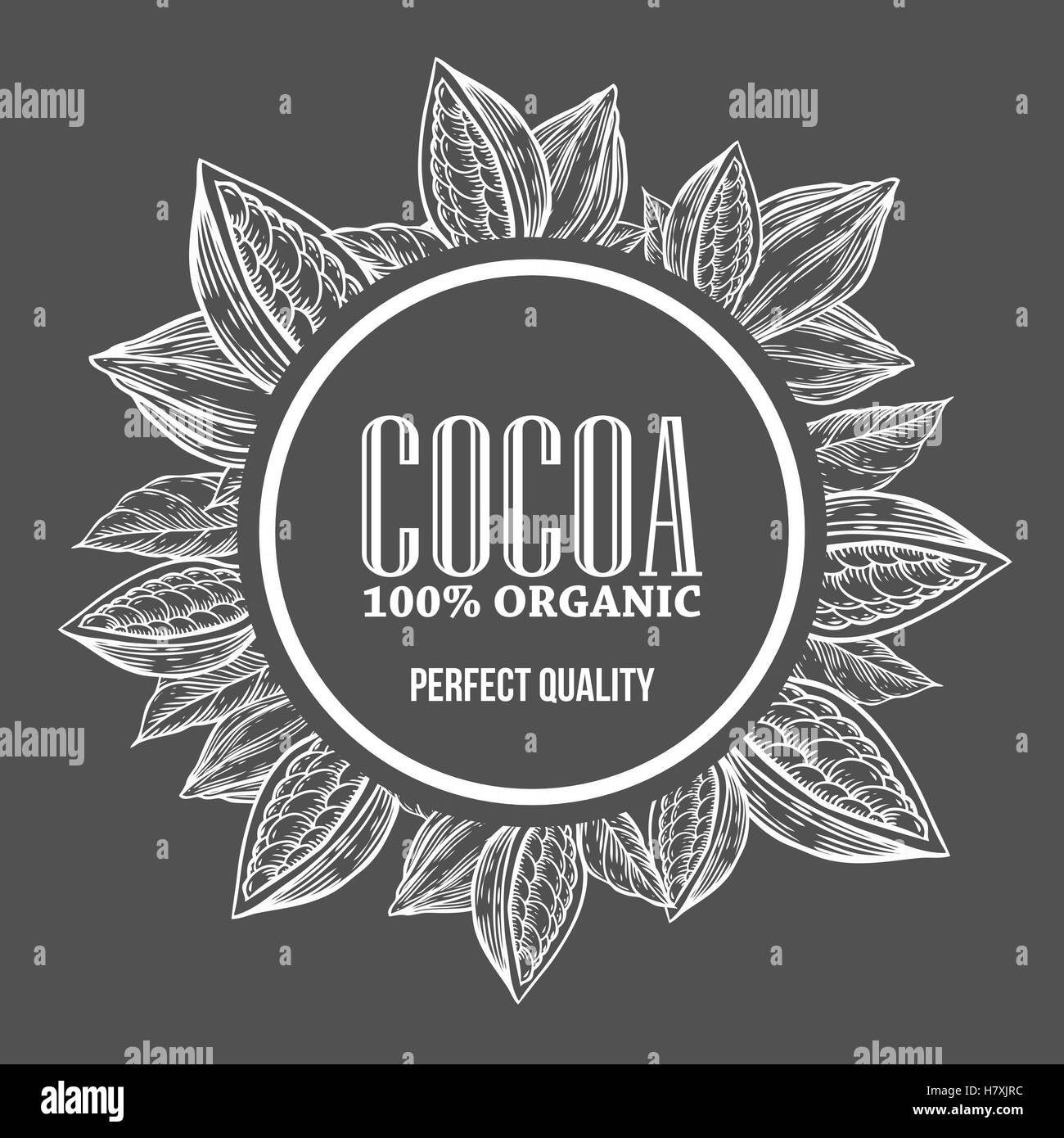 Cacao cacao mano disegnato a mano corona botanica illustrazione vettoriale. Cacao doodle decorativo di sano cibo nutriente. Il cacao engravin Illustrazione Vettoriale