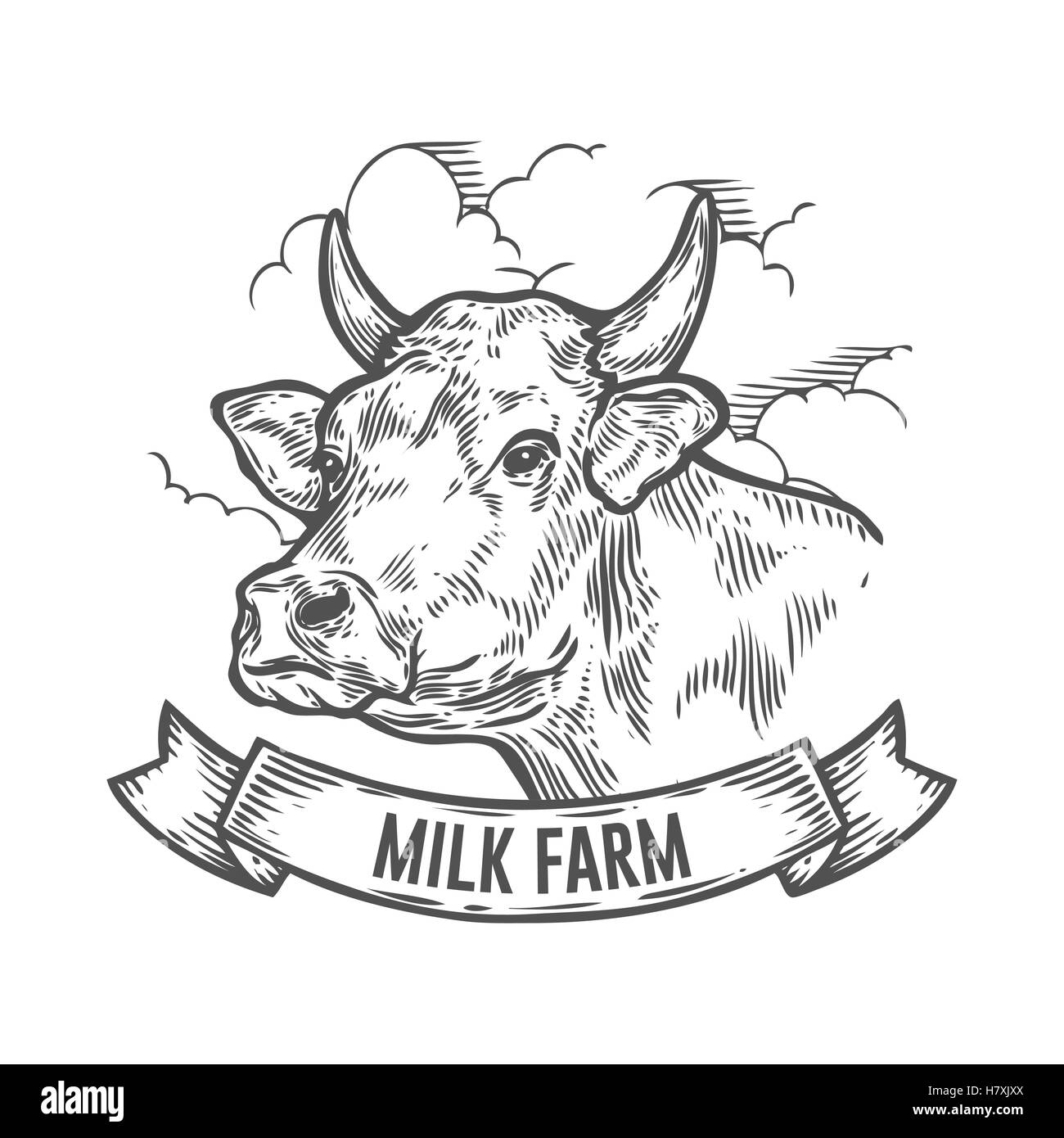 Le vacche di testa. Mano schizzo disegnato in uno stile grafico. Vintage vettore illustrazione incisione con nastro per poster, web. Isolato su Illustrazione Vettoriale