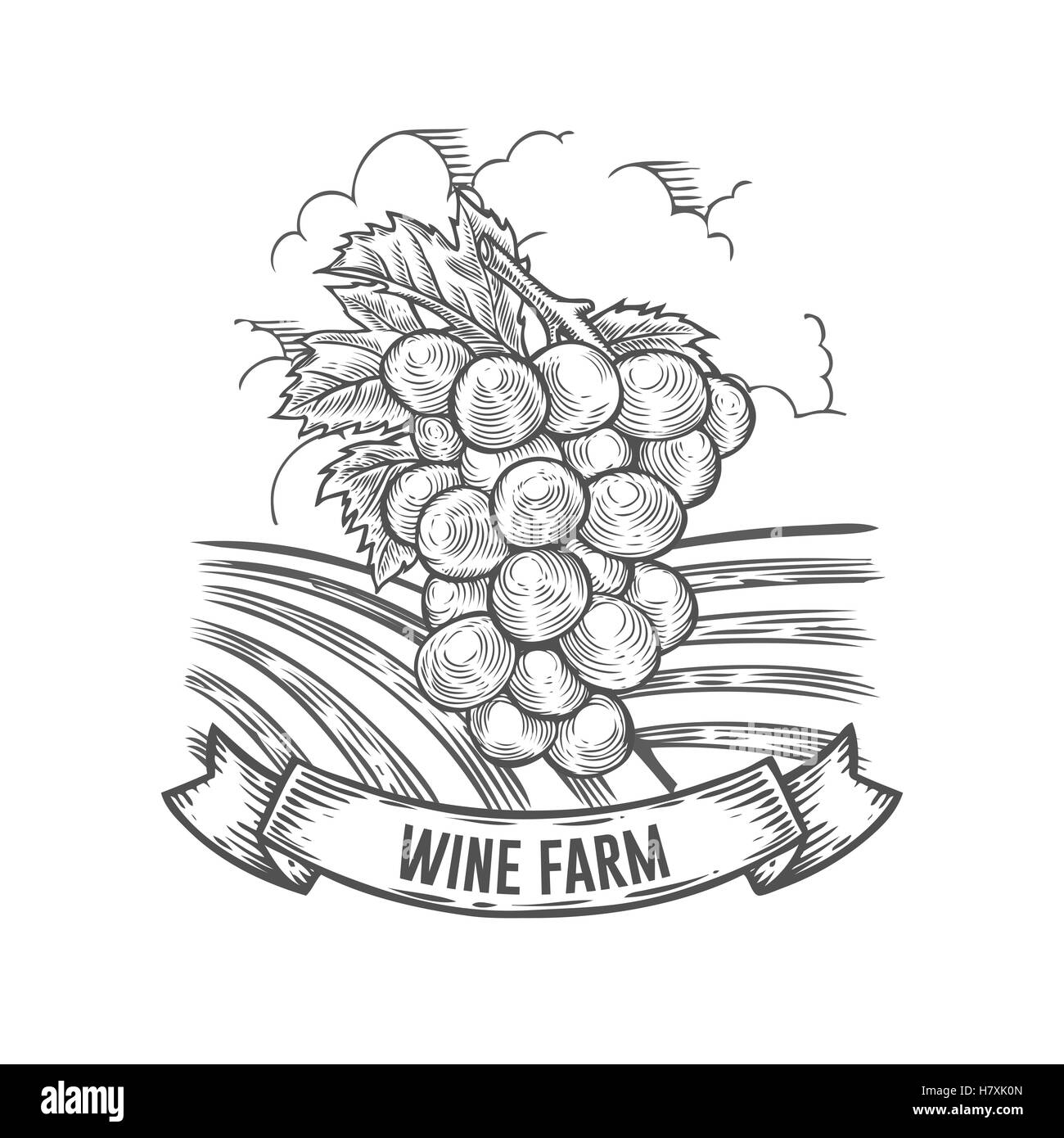 Azienda vinicola badge. Monocromatico incisione vintage uva segno isolato su sfondo bianco. Vettore di schizzi disegnati a mano illustrazione. Illustrazione Vettoriale