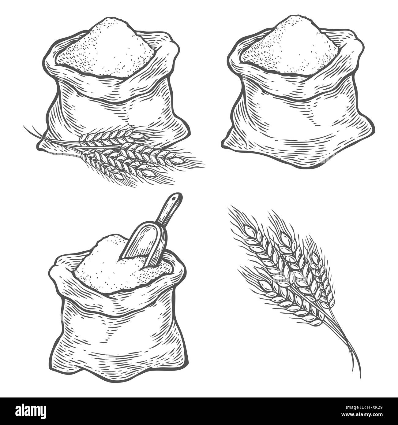 sacco disegno - 5 Sacco con tutta la farina o zucchero con orecchio di frumento, scoop. Disegnato a mano stile sketch. Vintage nero incisione vettoriale illustrazione serie F Immagine e Vettoriale - Alamy