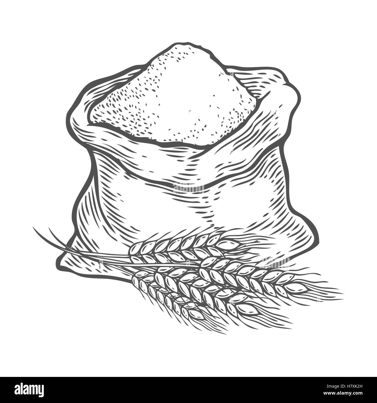 Sacco con tutta la farina o zucchero con orecchio di frumento. Disegnato a mano stile sketch. Vintage nero incisione vettoriale illustrazione per etichetta, w Illustrazione Vettoriale