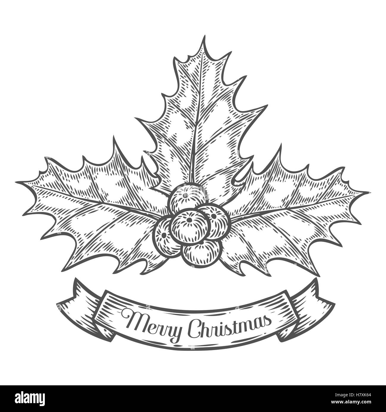 Holly o Ilex aquifolium o Natale holly, retro vintage incisione disegnato a mano impianto illustation con berryes. Foglie e frutta Illustrazione Vettoriale