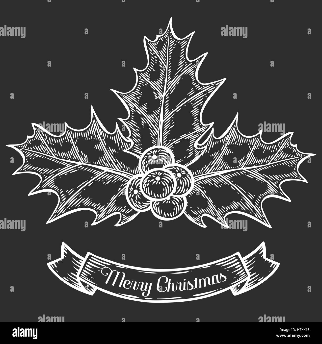 Holly o Ilex aquifolium o Natale holly, retro vintage incisione disegnato a mano impianto illustation con berryes. Foglie e frutta Illustrazione Vettoriale