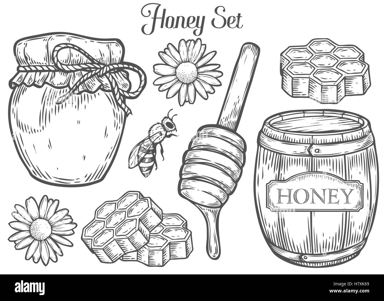 Vaso di miele, canna, cucchiaio, bee, honeycomb, camomilla, vintage set. Incisi cibo organico mano bozzetto illustrazione. Il nero è Illustrazione Vettoriale