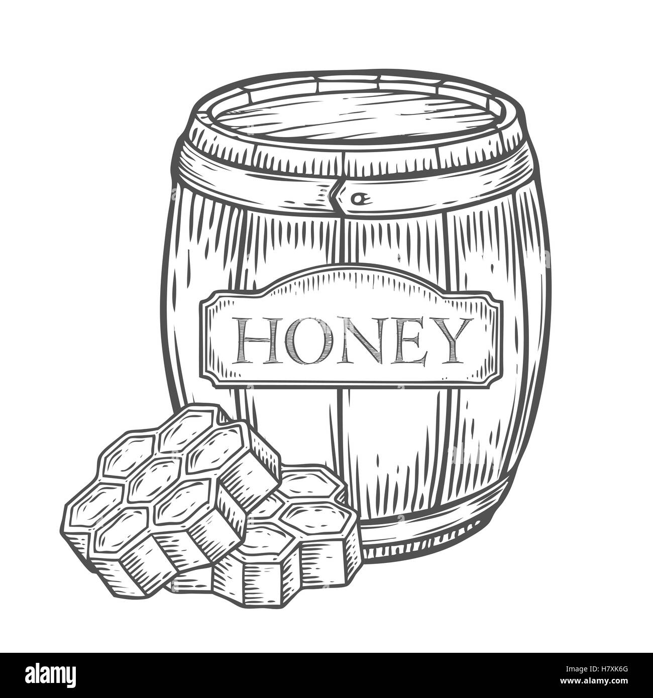 Canna di miele, honeycomb vintage set. Incisi cibo organico mano bozzetto illustrazione. Isolato nero su sfondo bianco. Illustrazione Vettoriale