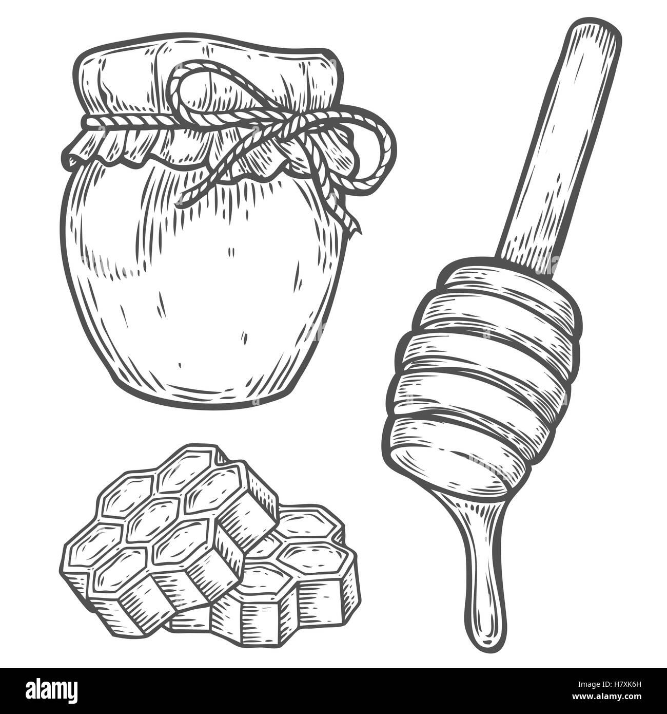 Vaso di miele, canna, cucchiaio, honeycomb vintage set. Incisi cibo organico mano bozzetto illustrazione. Isolato nero su bianco b Illustrazione Vettoriale