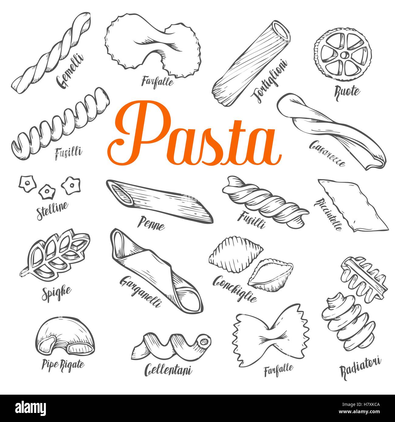 Disegnata a mano La pasta italiana La cucina del set. Raccolta di diversi tipi di pasta. Linea retrò arte illustrazione vettoriale. Alimenti di glutine di frumento Illustrazione Vettoriale