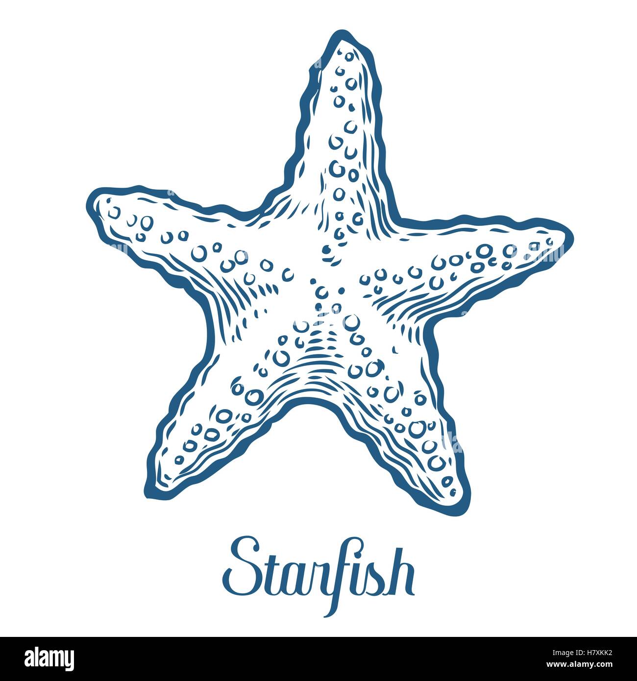Starfish natura oceano subacquea acquatici vettore. Disegnato a mano incisione marine stelle illustrazione di pesce su sfondo bianco Illustrazione Vettoriale