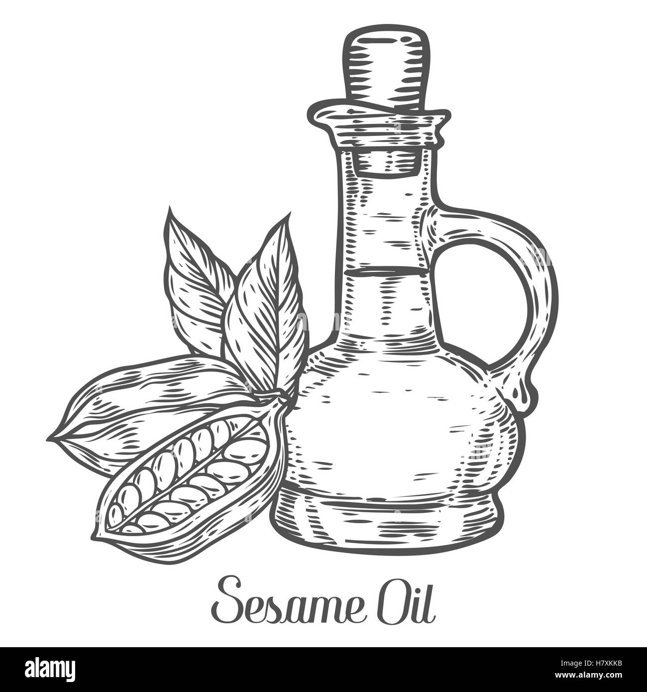 Olio di sesamo i dadi del vaso, pianta organica naturale ingrediente di burro. Disegnato a mano disegno vettoriale illustrazioni incise. Semi di sesamo iso Illustrazione Vettoriale