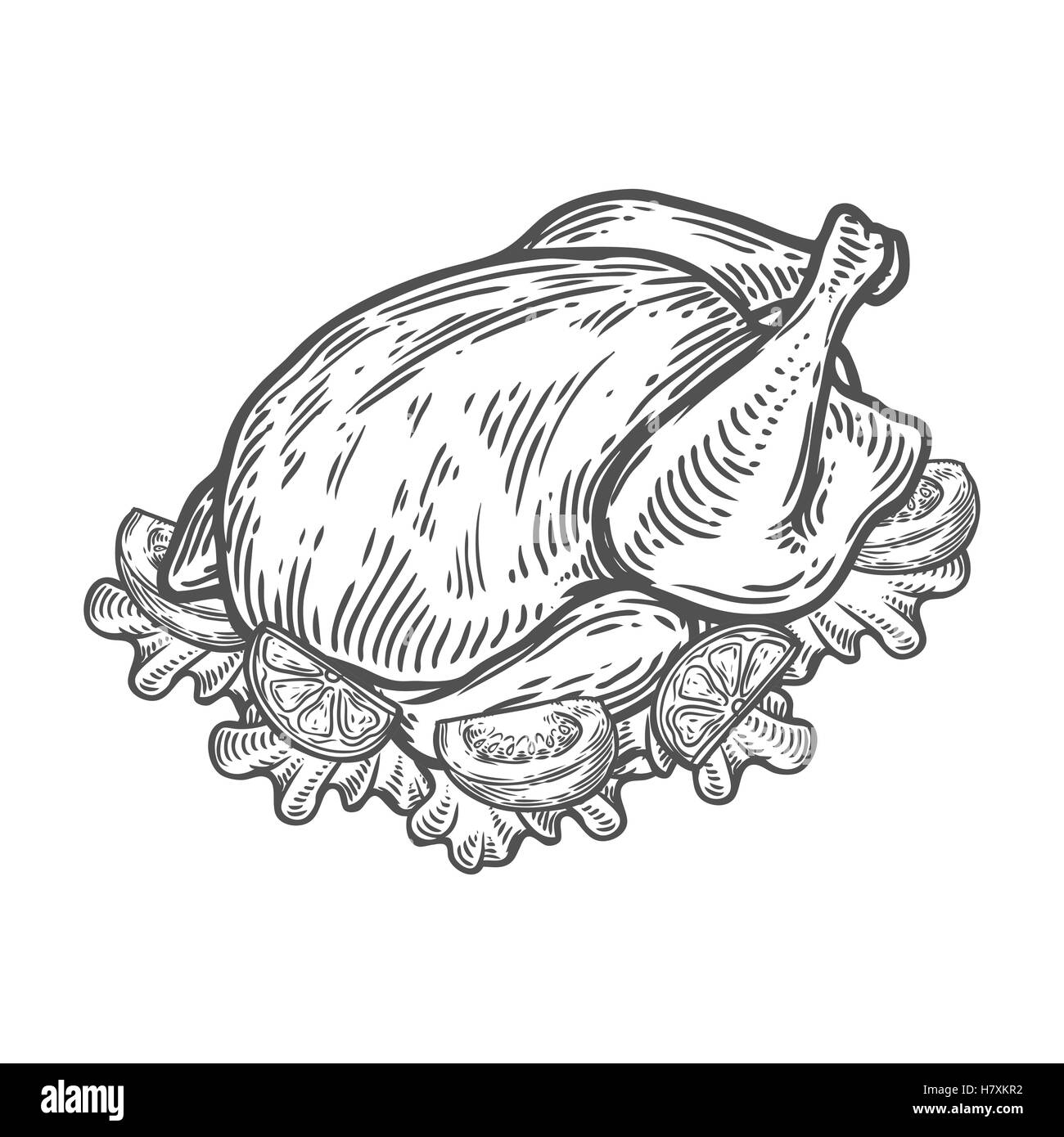 Grigliata di pollo arrosto, tacchino, anatra. Alimenti biologici disegnati a mano disegno vettoriale illustrazioni incise. Isolato su sfondo bianco Illustrazione Vettoriale