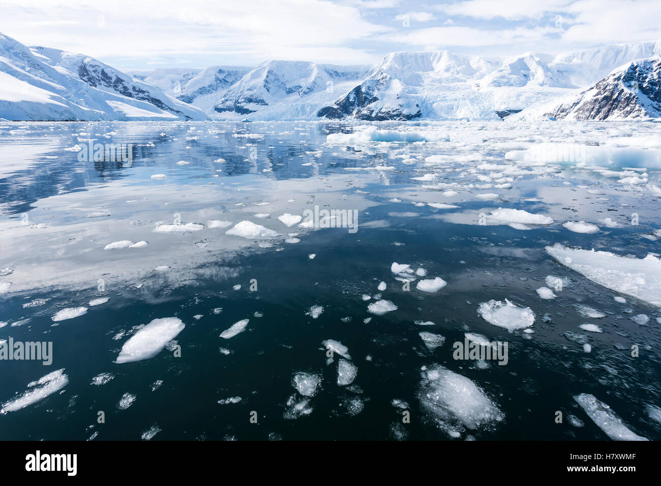 Sky riflessa nell'acqua intorno il ghiaccio galleggiante in Neko Harbour; Antartide Foto Stock