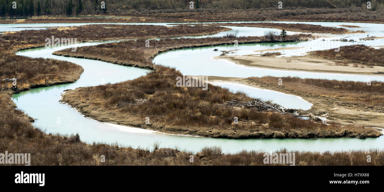 S curve di un fiume di delta con boccola marrone nel tardo autunno; Calgary, Alberta, Canada Foto Stock