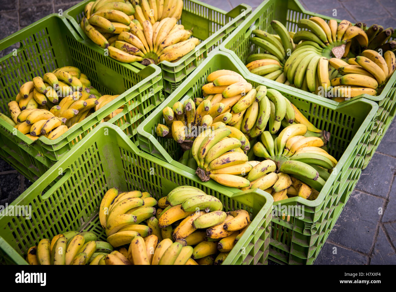 Scatole di banane al Mercado da Graca; Ponta Delgada, Sao Miguel, Azzorre,  Portogallo Foto stock - Alamy