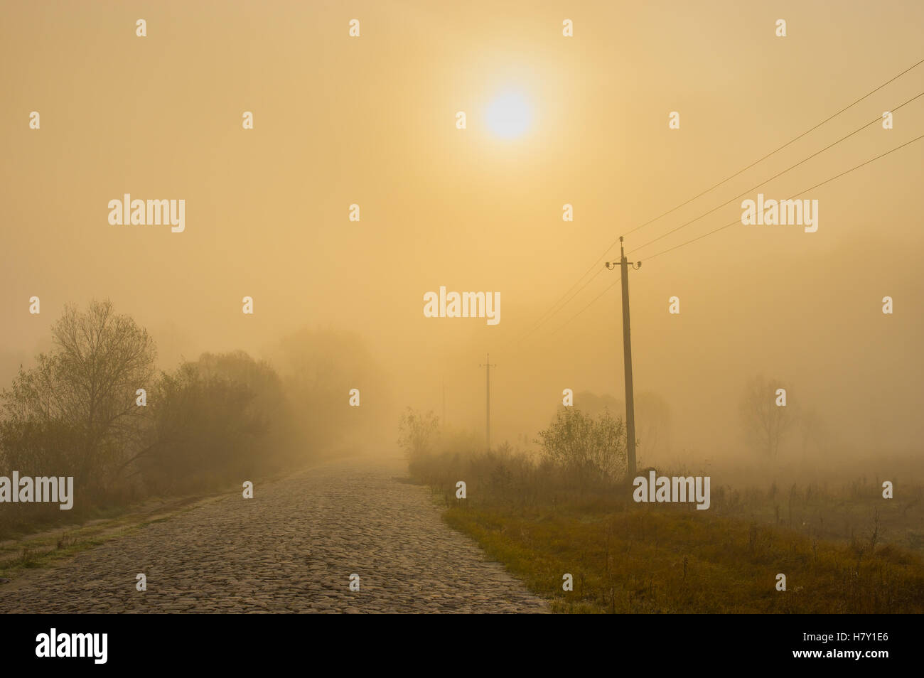 Scary paesaggio con una pietra antica strada in caso di nebbia al tramonto in ucraino area rurale Foto Stock