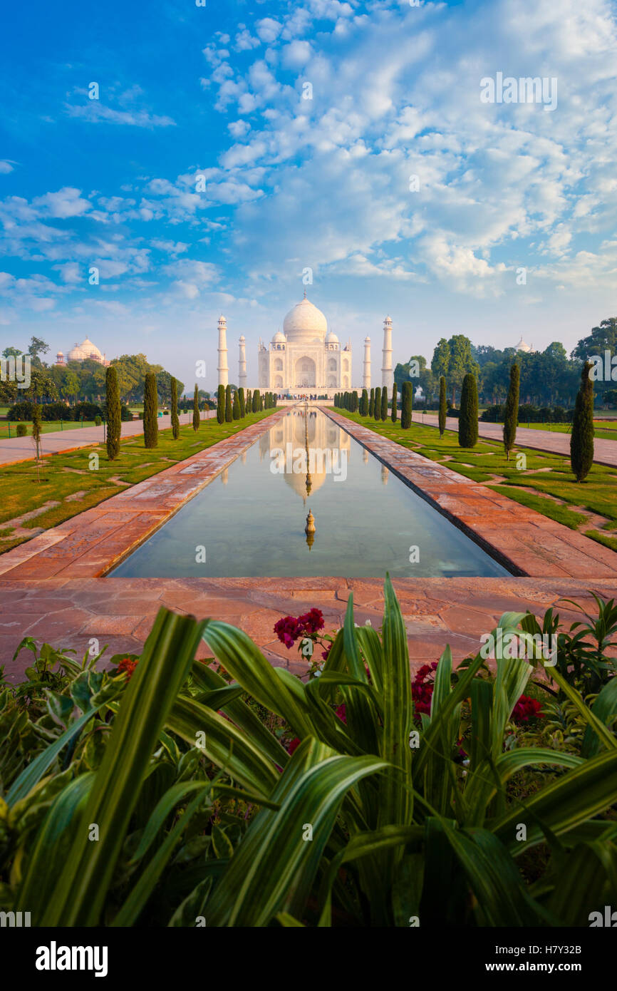 Impianto primo piano a vuoto Taj Mahal si riflette nel prato anteriore giardino fontana acqua in Agra, India su un cielo blu chiaro giorno. Vertic Foto Stock