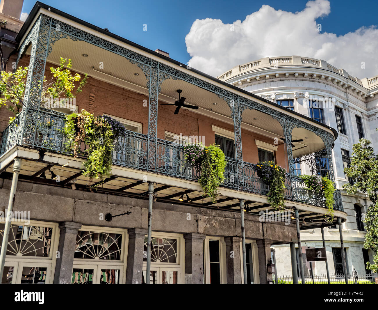 Balconi con piante e la Louisiana Corte suprema in background nel Quartiere Francese di New Orleans LA Foto Stock