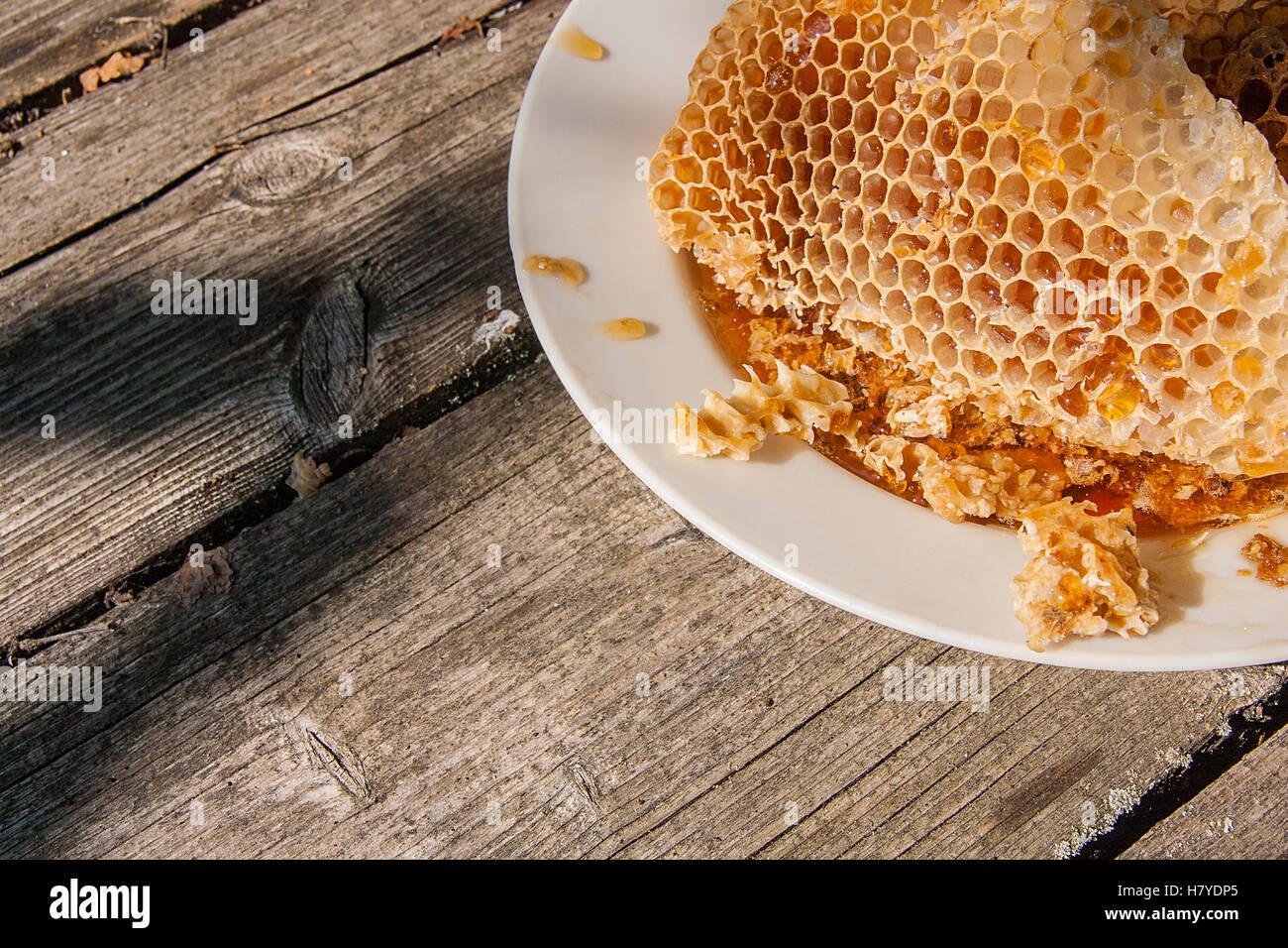 Piastra bianca con la sezione di cera Favo di miele da alveare su vintage sfondo di legno con copia spazio. Il miele è l'apicoltura Foto Stock