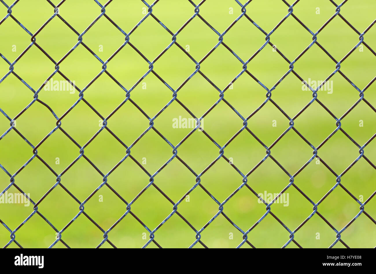 Vista ravvicinata di una catena collegamento recinto con una falciata verde campo da baseball sfocati in background. Foto Stock