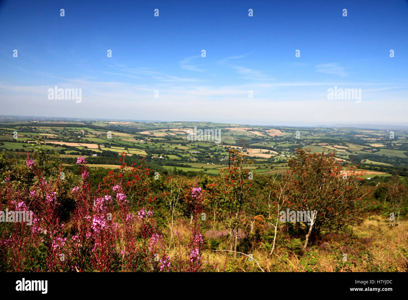 Aprire viste dalla parte superiore del Kit Hill, vicino a Callington in Cornovaglia. Foto Stock