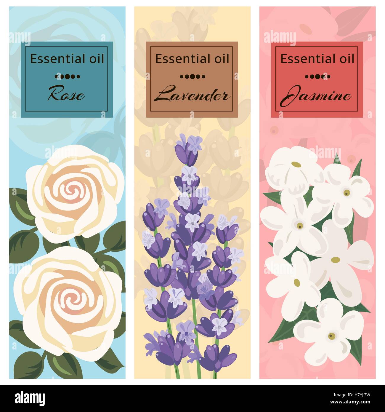 Olio essenziale insieme. Rose, lavanda, Jasmine banner set. Illustrazione vettoriale EPS 10. Illustrazione Vettoriale
