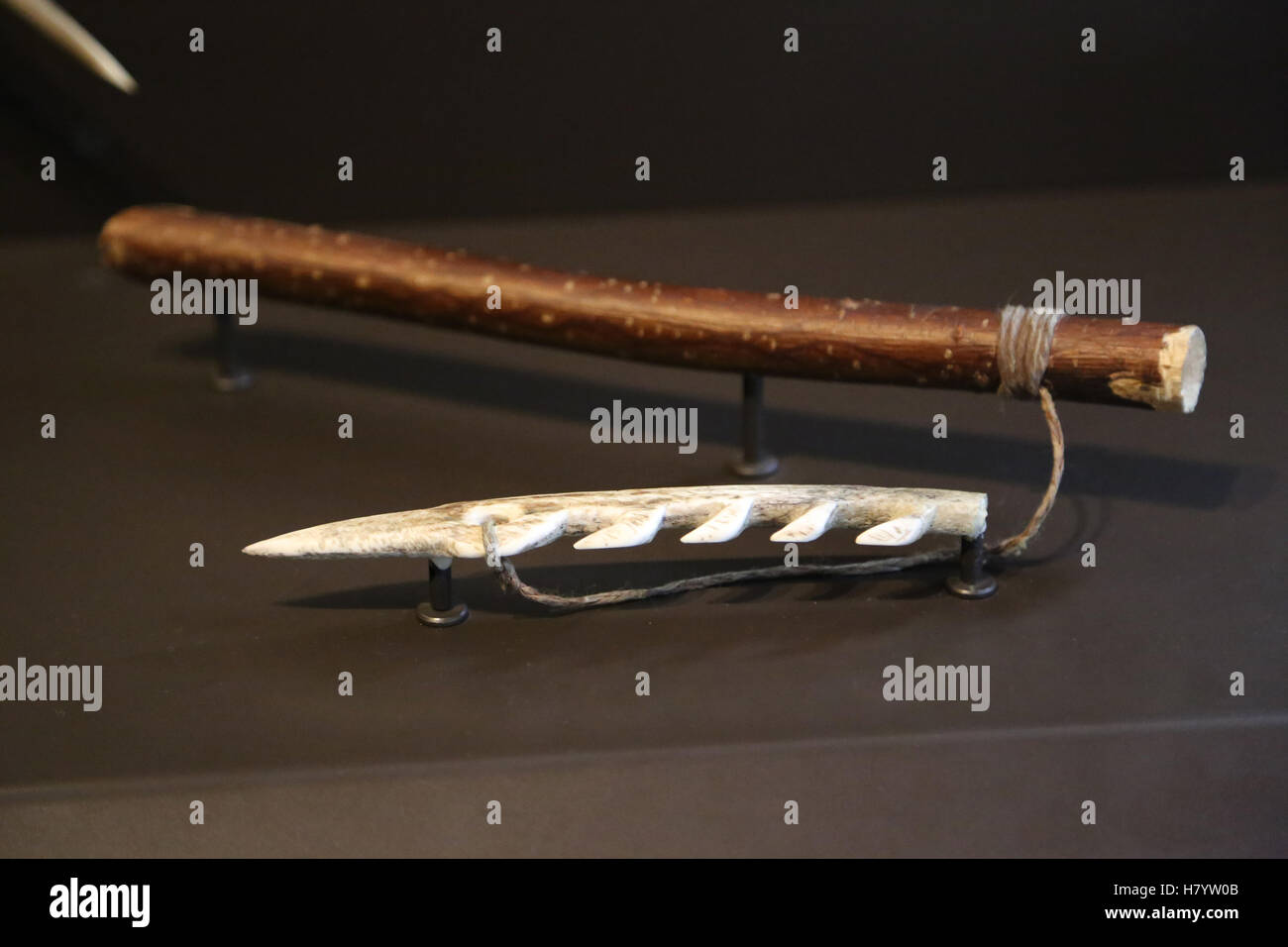Il Paleolitico superiore. Harpoon pesci. Replica. Museo Archeologico Nazionale di Madrid. Spagna. Foto Stock