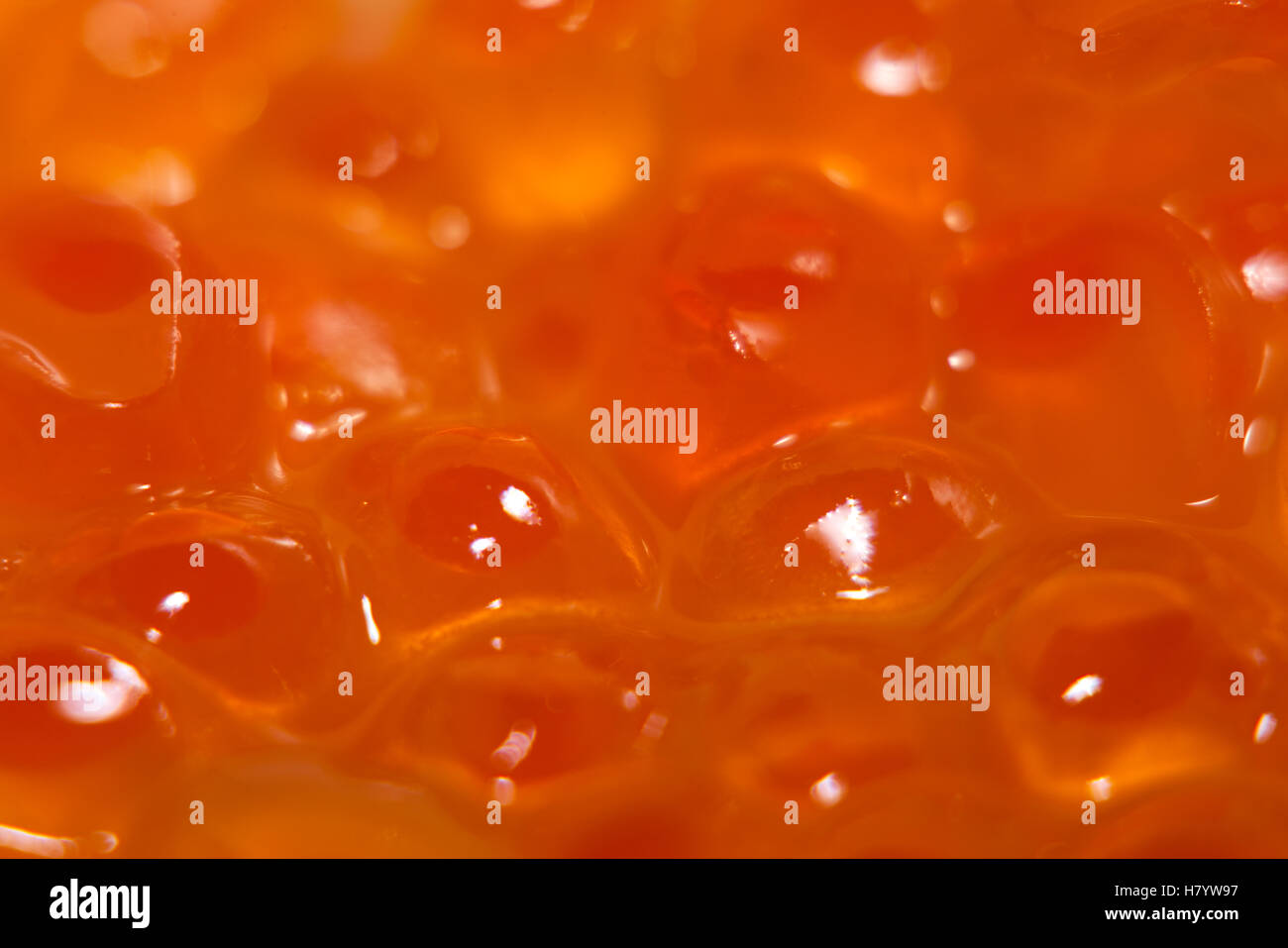 Macro shot di alcuni salmone fresco roe. Foto Stock