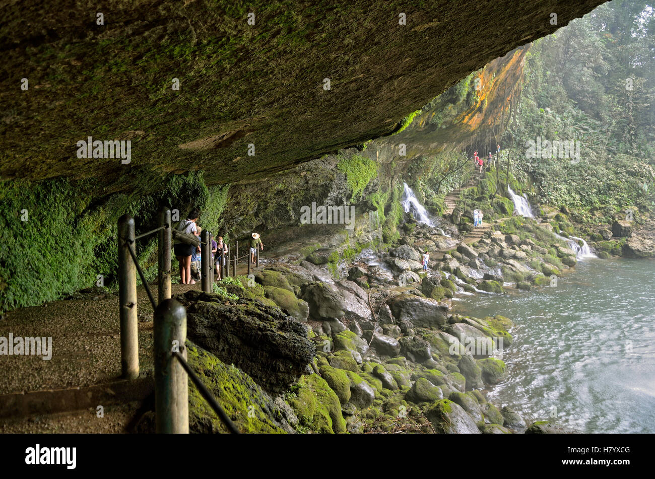 Il sentiero dietro la Cascada Misol Ha in Palenque, Chiapas, Messico Foto Stock